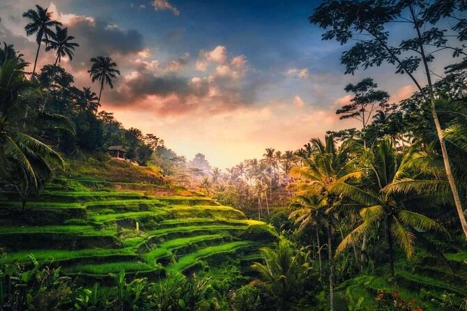 Private Bali Tour with Lisensed Bali Driver - The private car and the long road from Kuta