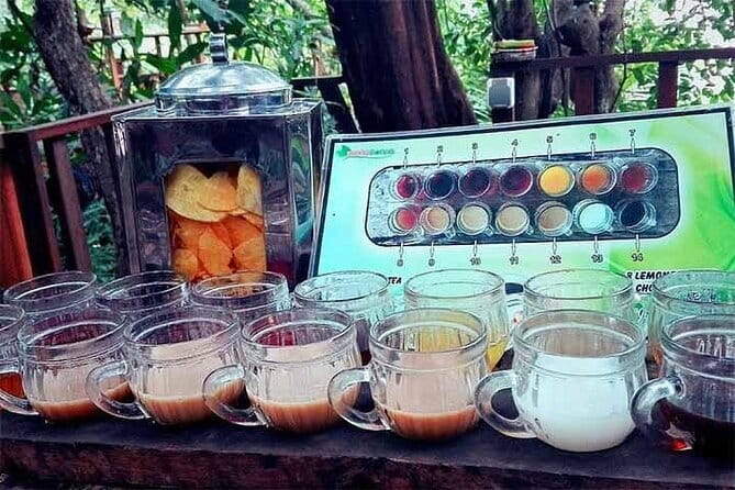 Private Chartered Car to Bali Temples With Besakih Temple - The coffee plantation stop and route flexibility