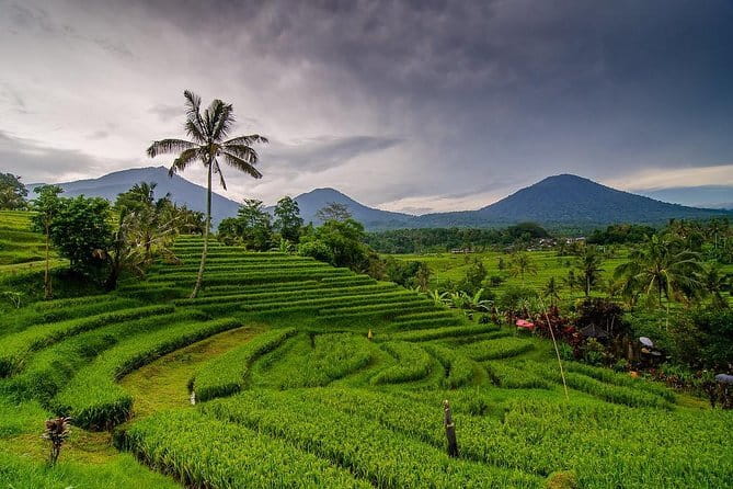 Private Chartered Car to Bali Temples With Besakih Temple - What the $60 group price includes
