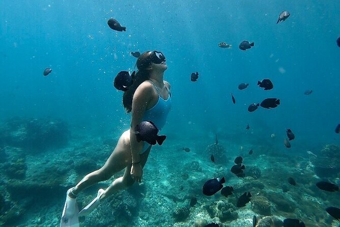 Private Customized Tour with Local Guide - A custom Bali day, not a fixed sightseeing loop