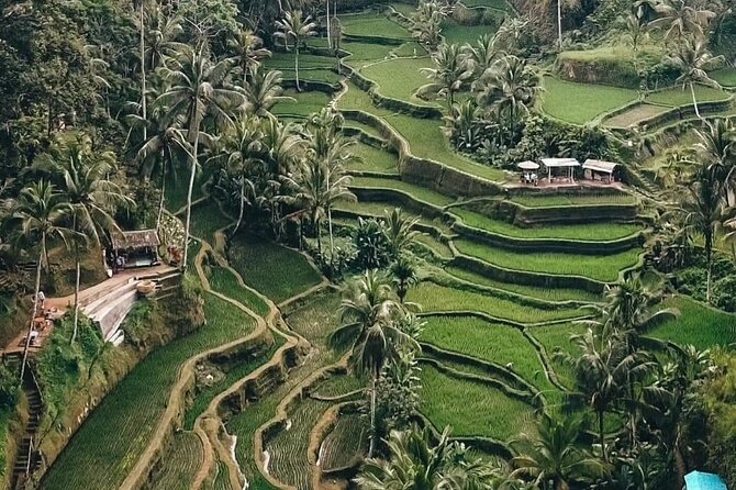 Private Customized Tour with Local Guide - Why the guide matters more than the checklist
