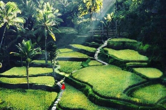 Private Customized Tour with Local Guide - What $52 really gets you