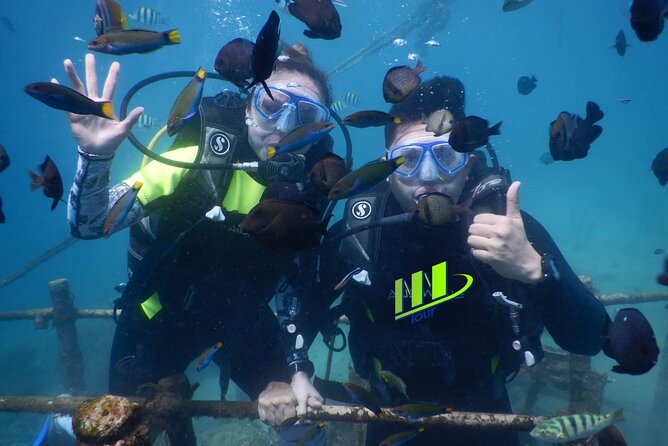 Private Diving Experience in Nusa Dua with Hotel Pick Up - A short underwater outing from Nusa Dua