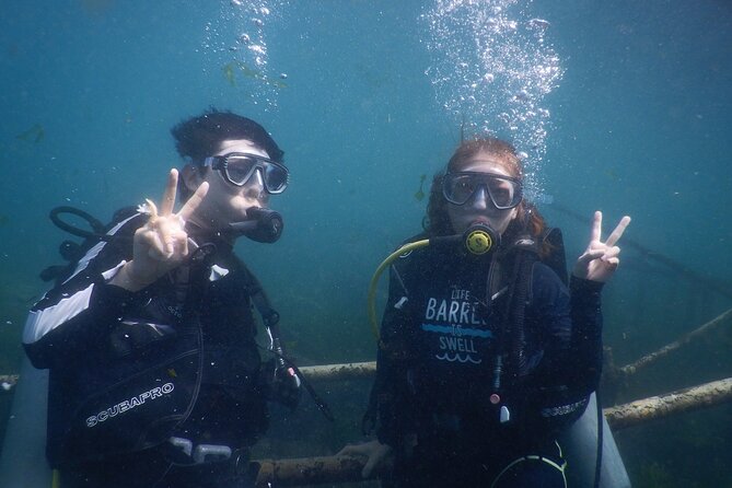 Private Diving Experience in Nusa Dua with Hotel Pick Up - Choosing one session or two