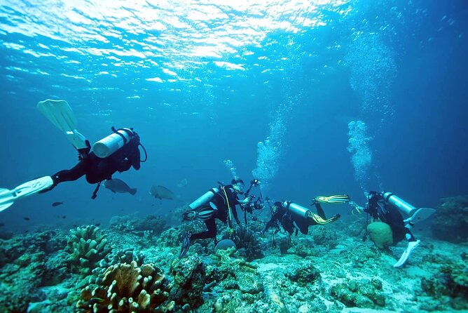 Private Diving Experience in Nusa Dua with Hotel Pick Up - Equipment, boat transfer, and facilities