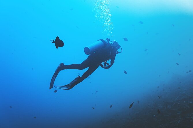 Private Diving Experience in Nusa Dua with Hotel Pick Up - Physical demands and age limits