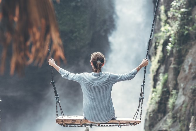 Private Full-Day Bali Tour - A private car is the real attraction