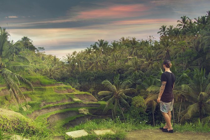 Private Full-Day Bali Tour - Monkey Forest offers shade, temples, and close animal encounters