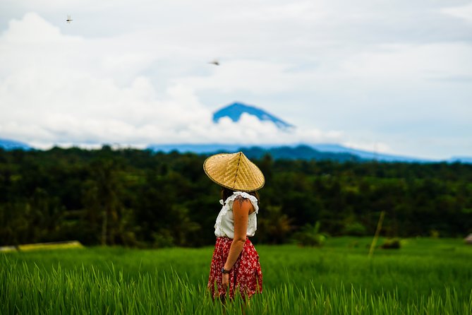 Private Full-Day Bali Tour - Ubud works best as the day’s anchor