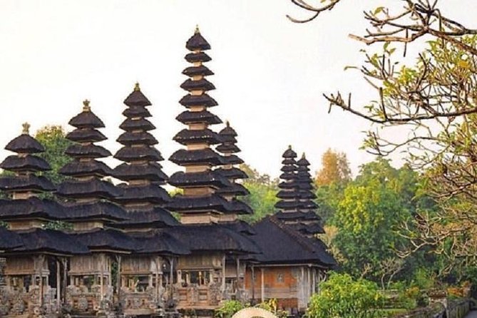 Private Full-Day Tour Jatiluwih Rice Terrace and Tanah Lot Temple - Who should book this Bali day tour?