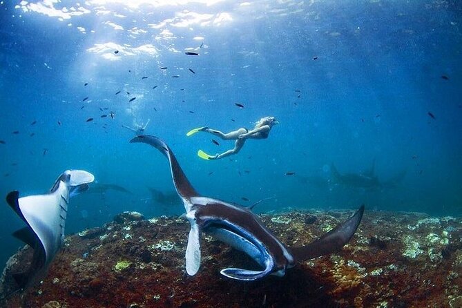 PRIVATE Nusa Penida on Boat Snorkeling & Island Tour (INCLUSIVE) - The Sanur to Penida ferry crossing
