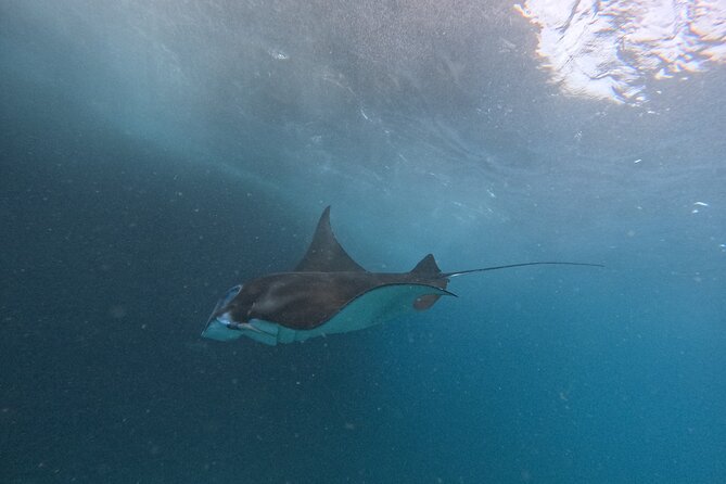 PRIVATE Nusa Penida on Boat Snorkeling & Island Tour (INCLUSIVE) - Broken Beach and Angel’s Billabong