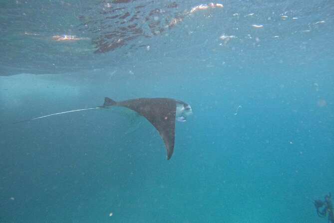 PRIVATE Nusa Penida on Boat Snorkeling & Island Tour (INCLUSIVE) - 7:00 a.m. pickup from Kuta, Seminyak, or Sanur