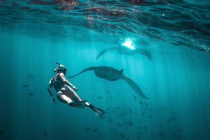 Private Sightseeing Northern East Bali All inclusive - What the $42.50 price really covers