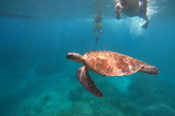 Private Snorkeling in Manta Bay, Gamat Bay & Wall at Nusa Penida - Key points to know before booking