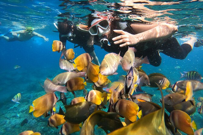 Private Snorkeling in Manta Bay, Gamat Bay & Wall at Nusa Penida - Why this trip is more than a quick Manta Bay gamble