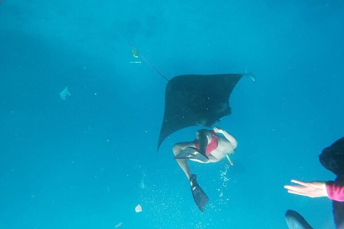 Private Snorkeling in Manta Bay, Gamat Bay & Wall at Nusa Penida - Gamat Bay: a chance to focus on fish and coral life