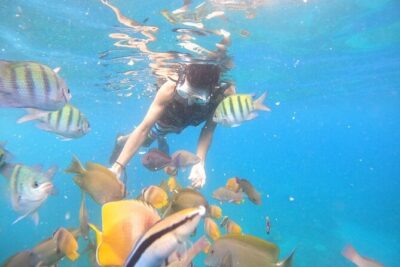 Private Snorkeling in Manta Bay, Gamat Bay & Wall at Nusa Penida