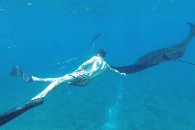 Private Snorkeling in Manta Bay, Gamat Bay & Wall at Nusa Penida - Wall Point and the alternate Crystal Bay reference