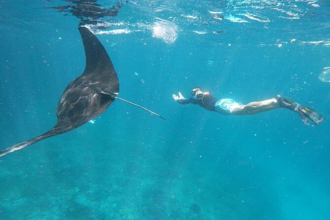 Private Snorkeling in Manta Bay, Gamat Bay & Wall at Nusa Penida - A private boat, an instructor and short water sessions