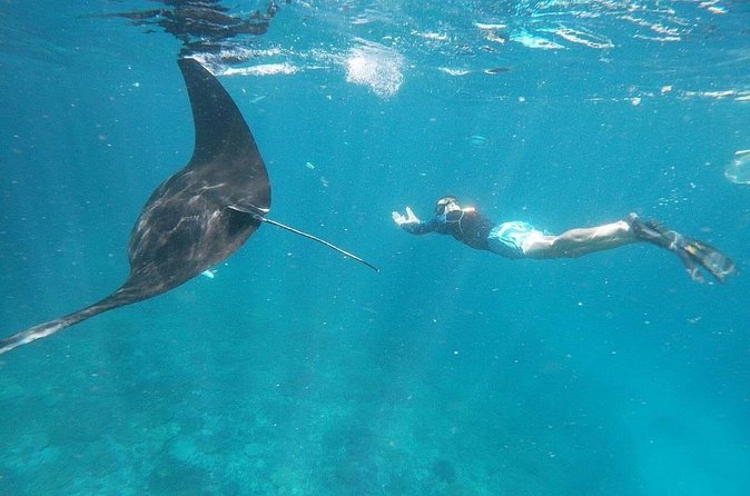 Private Snorkeling in Manta Bay, Gamat Bay & Wall at Nusa Penida - Indonesian lunch after the water