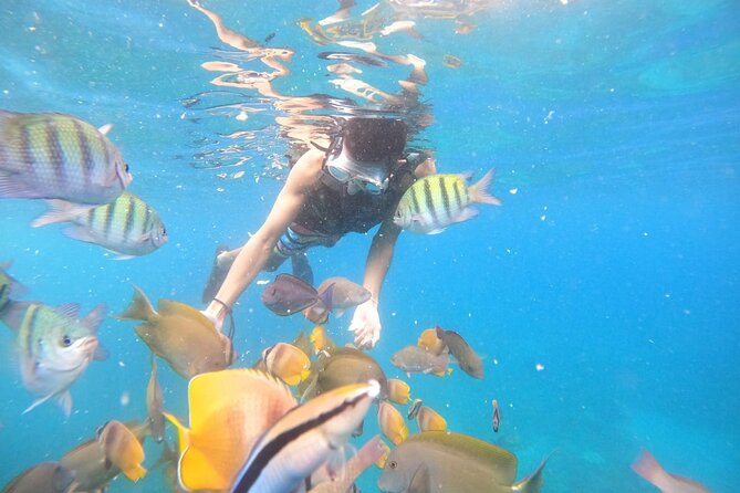 Private Snorkeling in Manta Bay, Gamat Bay & Wall at Nusa Penida - Manta Bay: memorable when nature cooperates
