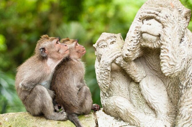Private Tour : Bali Best Waterfalls, Temples and Monkey Forest - A cave waterfall, a jungle swim, and monkeys in one day
