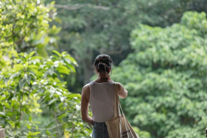 Private Tour : Bali Best Waterfalls, Temples and Monkey Forest - Elephant Cave corrects a misleading name