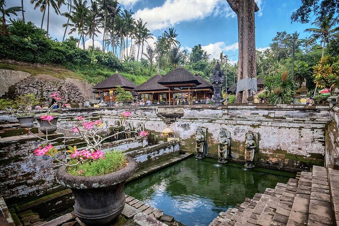 Private Tour : Bali Best Waterfalls, Temples and Monkey Forest - The private vehicle is a major part of the value