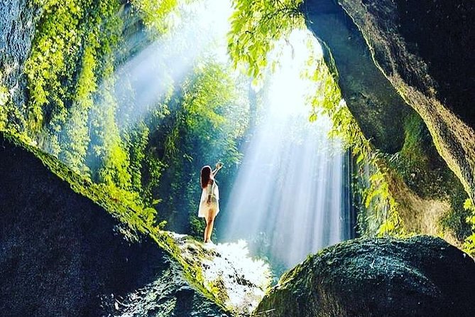 Private Tour: Bali in a Day - Tegalalang Rice Terrace near Ubud