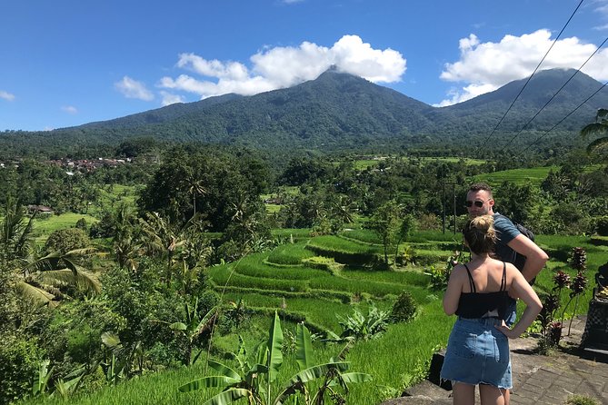 Private Tour: Bali Temple and Countryside Tour - Why this private north Bali route works