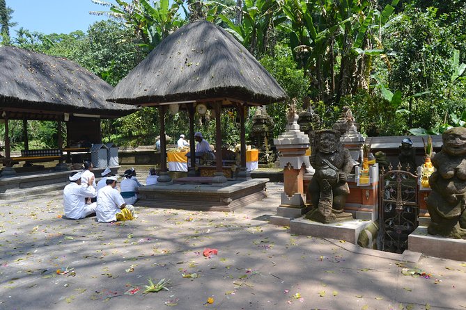 Private Tour: Bali Temple and Countryside Tour - What the $65 price really covers