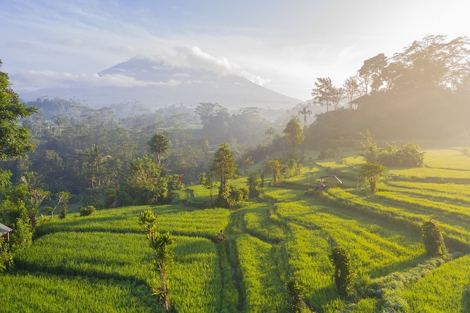 Private Tour: Bali Temple and Countryside Tour - What to bring for temples and highland scenery