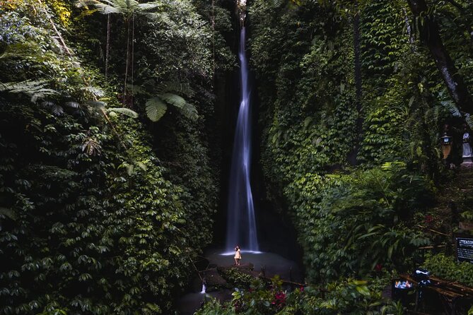 Private Tour: Bali Temples, Hidden Waterfall and Handara Gate - The Tanah Lot question
