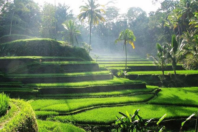 Private Tour: Batuan Temple, Tegenungan Waterfall, Elepahant Cave Free transport - Ubud Palace puts you in the town center