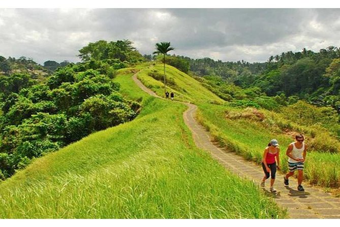 Private Tour: Campuhan Ridge Walk, Ubud Rice Terrace & Ubud Palace - Key points to know before you book