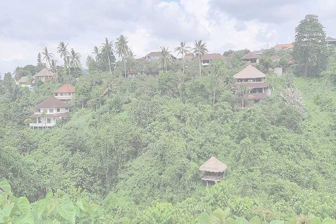 Private Tour: Campuhan Ridge Walk, Ubud Rice Terrace & Ubud Palace - Why this Ubud day trip works well from Kuta