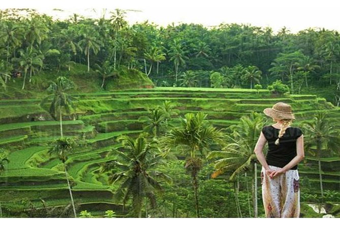 Private Tour: Campuhan Ridge Walk, Ubud Rice Terrace & Ubud Palace - Ubud Palace and the living arts of the royal compound