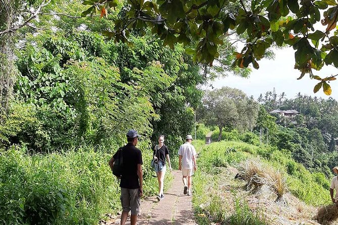 Private Tour: Campuhan Ridge Walk, Ubud Rice Terrace & Ubud Palace - Ubud Traditional Art Market: shopping with a clear budget
