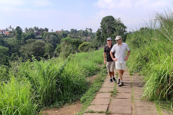 Private Tour: Campuhan Ridge Walk, Ubud Rice Terrace & Ubud Palace - The driver matters more than the schedule