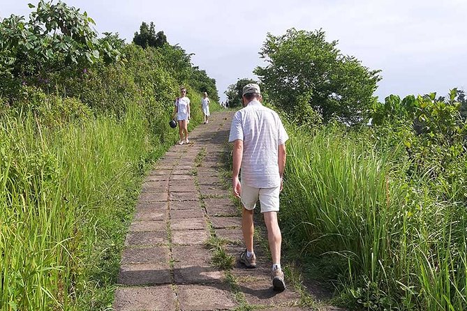 Private Tour: Campuhan Ridge Walk, Ubud Rice Terrace & Ubud Palace - Who gets the best value from the $25 price