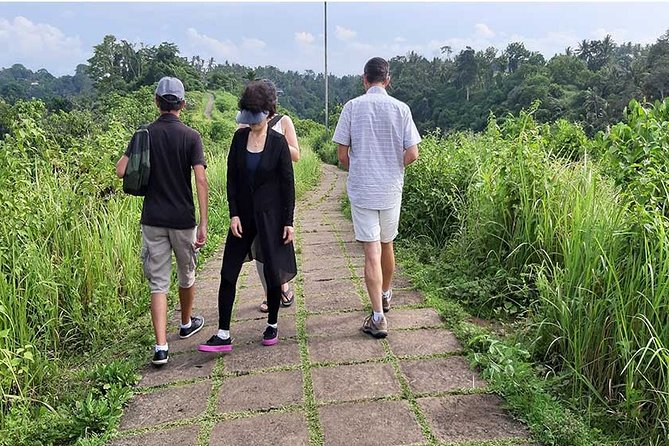 Private Tour: Campuhan Ridge Walk, Ubud Rice Terrace & Ubud Palace - Ceking Rice Terrace and the famous stepped fields