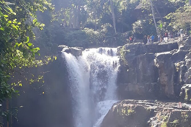 Private tour in Ubud country side - Ubud town and the royal palace