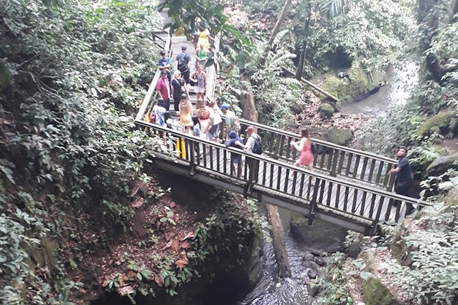 Private tour in Ubud country side - What the private vehicle changes