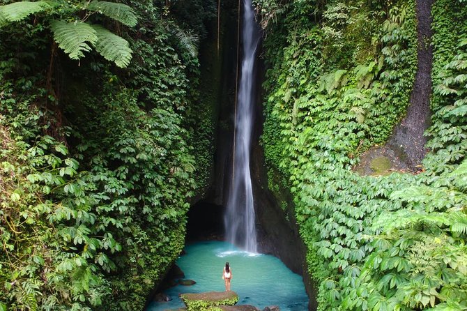 Private Tour: Leke-Leke Waterfall, Handara gate & Iconic Temples - The four details that shape the day