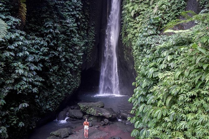Private Tour: Leke-Leke Waterfall, Handara gate & Iconic Temples - What the $58 price really buys