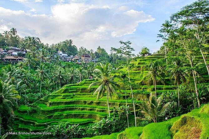 Private Tour : Mt. Batur View, Rice Terrace, Waterfall & More. - Tegenungan Waterfall brings the first outdoor break