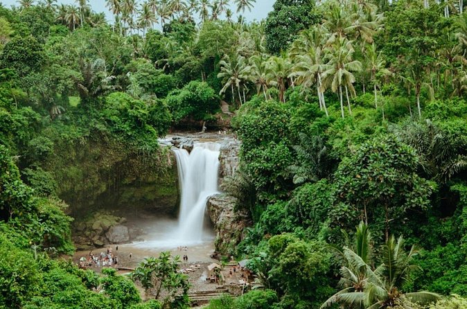 Private Ubud Day Tour Waterfalls Sacred Monkeys and Rice Fields - The guide can shape the day