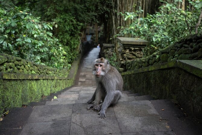 Private Ubud Day Tour Waterfalls Sacred Monkeys and Rice Fields - Watching artisans at Mas Carving Center