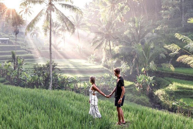 Private Ubud Tour Package - Why this private Ubud route works from Kuta